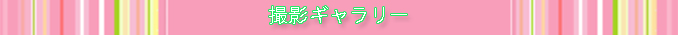 ギャラリー